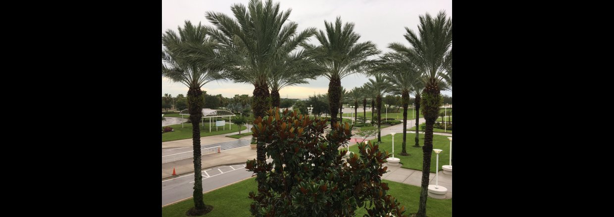 InfoComm 2017