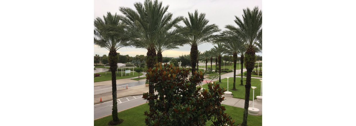 InfoComm 2017